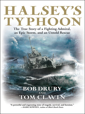 cover image of Halsey's Typhoon